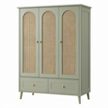 Armario de madera con puertas de ratán y dos cajones verde
